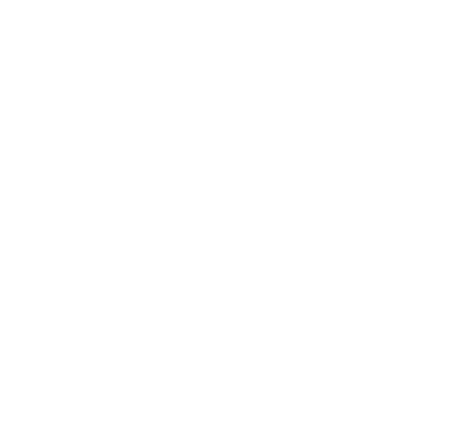 PRVCTICE logo